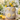 New Large 3D Lemon Slices Citrus Design Flower Pot Porcelain Planter Gardening