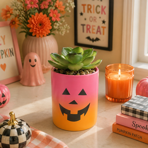 NEW Pink / Orange Happy Halloween Pumpkin Ceramic Planter Plot W/ Succulents