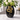 New Modern Black Ceramic Vase W/ Gold Snake Design Planter Home Decor Accent