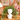 New White Artificial Plant SUCCULENT Hair Growing Head Face Vase Retro Room Decor