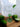 New 3D Lime Green Stemmed Margarita Party BBQ Gift Beverage Glass